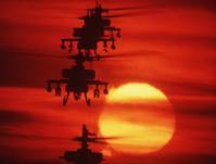 Кадр Огненные птицы