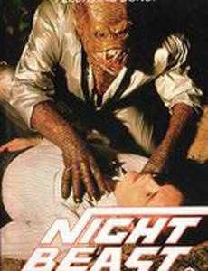 Ночной зверь