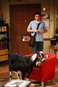 Кадр Как я встретил вашу маму