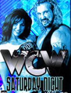 World Championship Wrestling