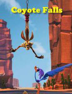 Падения койота