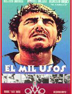 Тысяча обычаев