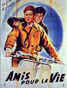 Друзья по жизни