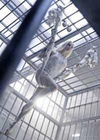 Кадр Отряд самоубийц