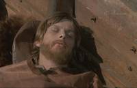 Кадр И на камнях растут деревья