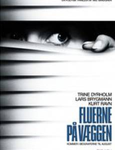 Мухи на стене