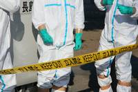 Кадр Земля надежды