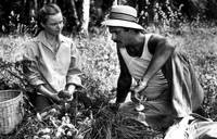 Кадр Портрет жены художника