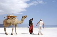 Кадр Когда ветер поднимает песок