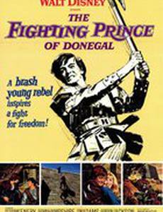 Сражающийся принц Донегала