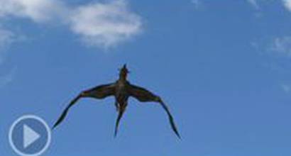 Телевизионный трейлер (русский) 