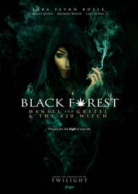Постер Темный лес: Ганс, Грета и 420-я ведьма
