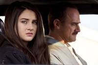 Кадр Белая птица в метели