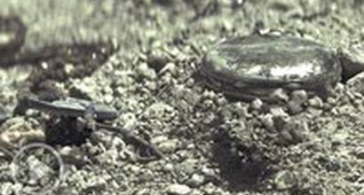 О съёмках №10