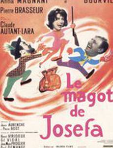 Кубышка Жозефы