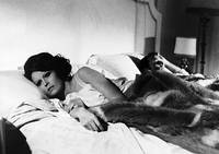 Кадр Теорема