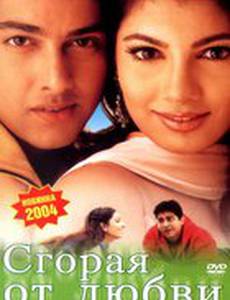 Сгорая от любви