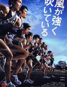 Чувствовать ветер