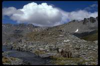 Кадр Властелин колец: Братство кольца