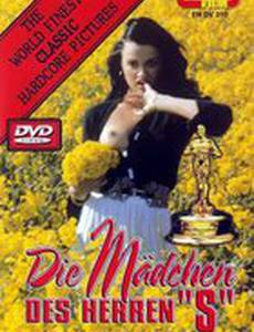 Девушки господина С.