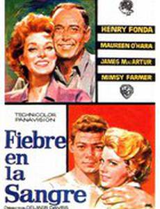 Гора Спенсера