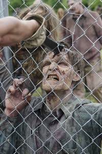 Кадр Ходячие мертвецы