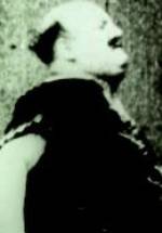 Фриц Шод фото