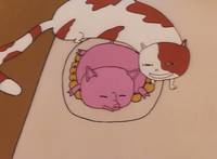 Кадр 32-е декабря