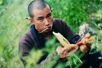 Кадр Чародей и Белая змея