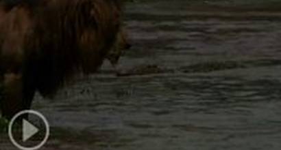 Фрагмент №3