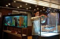 Кадр На игре