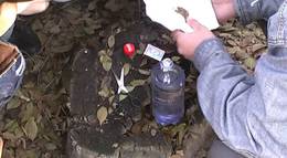 Кадр из фильма "Анаша" - 1