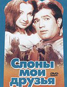 Слоны – мои друзья