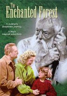 The Enchanted Forest