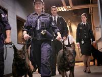 Кадр Уэнтуорт