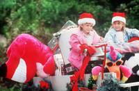 Кадр Прячься, бабушка! Мы едем