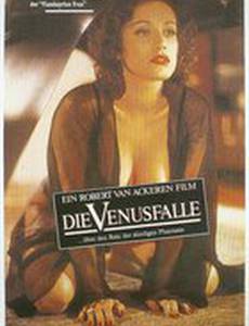 Западня Венеры