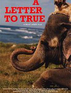 A Letter to True
