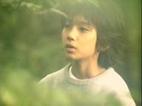 Кадр Спящий лес