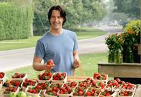 Кадр Любовь по правилам и без