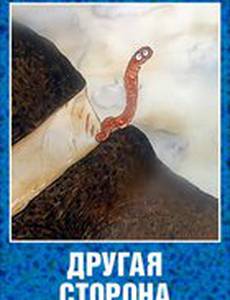 Другая сторона