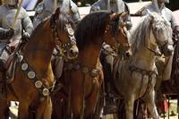 Кадр Мерлин