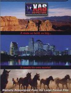 Texas: The Big Picture