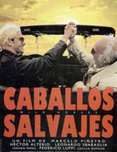 Дикие лошади