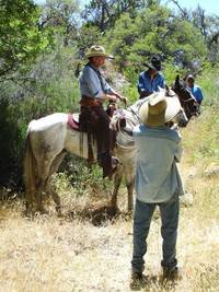 Кадр Buckaroo: The Movie