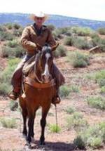 Том Стразерс фото