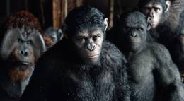 Кадр из фильма "Рассвет планеты обезьян" - 2