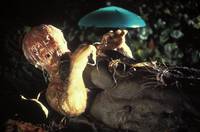 Кадр Вторжение похитителей тел