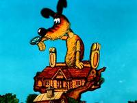 Кадр Крокодил и солнце