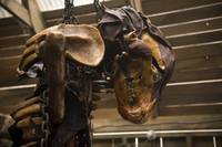 Кадр Ганнибал